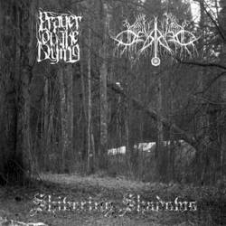 Demorian (SWE) : Shivering Shadows